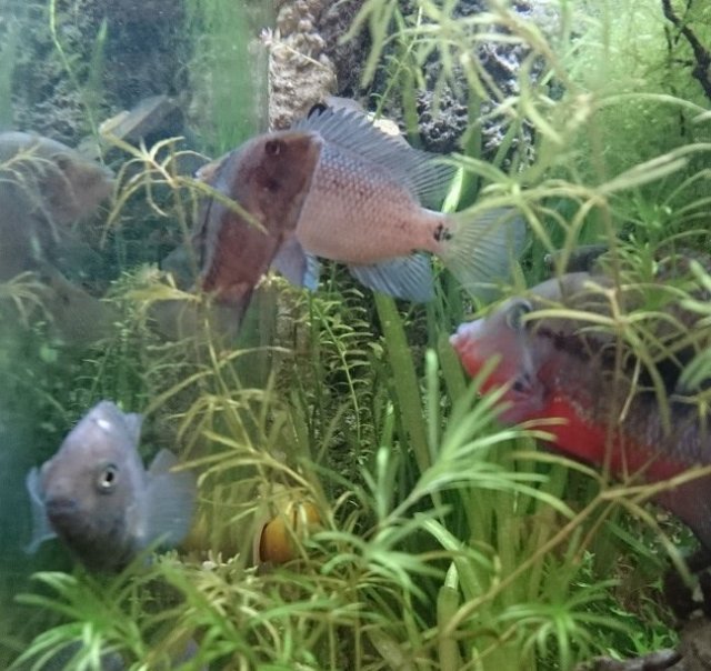 DSC_0131.JPG
