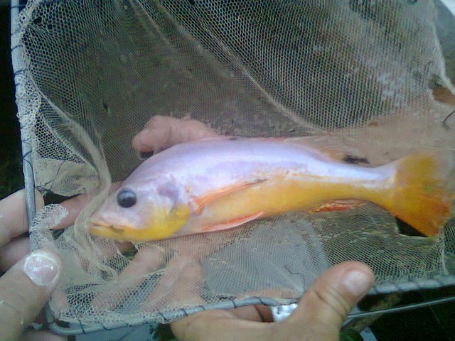 foto0125b.jpg