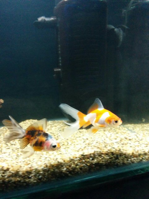 IMG_20151110_222442.jpg