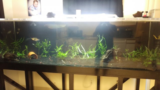 IMAG0461.jpg