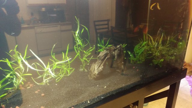 IMAG0463.jpg