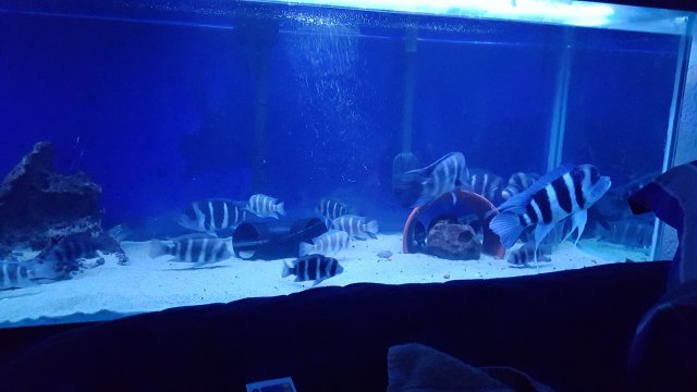 20151110_165255.jpg 20151110_165255.jpg