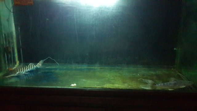 20151111_211035(0).jpg
