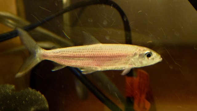 DSC_0001.jpg