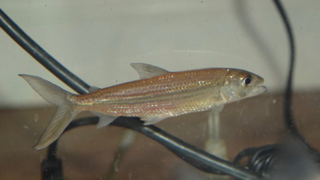 DSC_0007.jpg