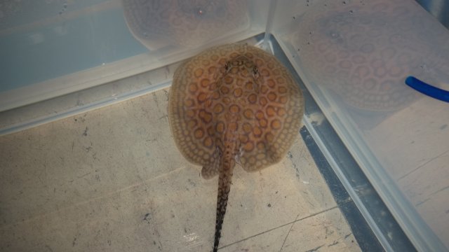 20151118_223735.jpg