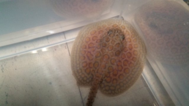 20151118_220306.jpg