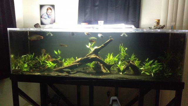 IMAG0487.jpg