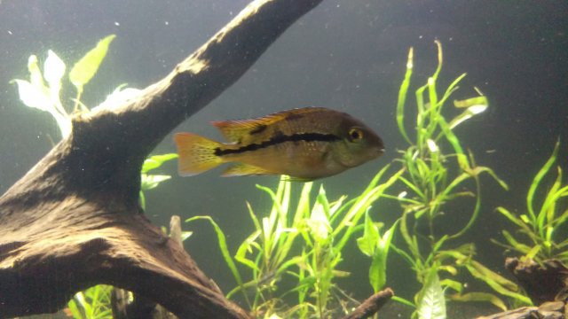 IMAG0489.jpg