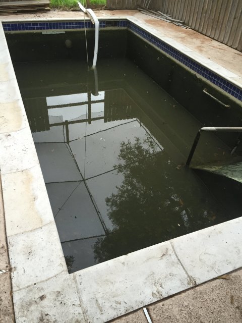 image9.JPG image9.JPG