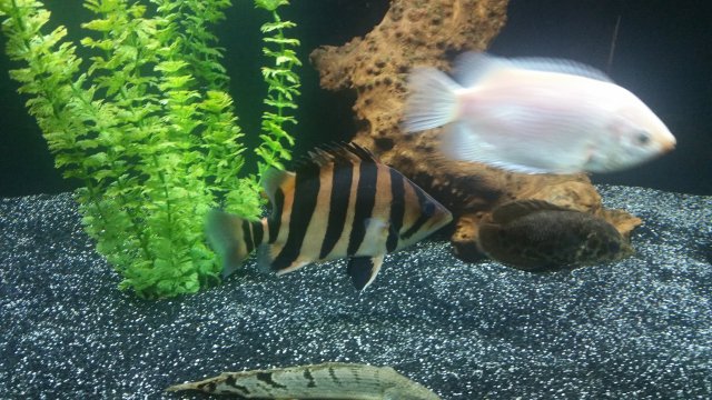 20151011_150032.jpg