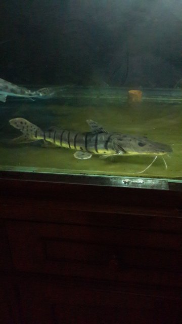 20151123_211033.jpg