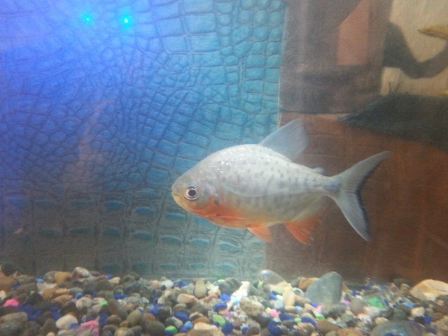 20151124_133103.jpg