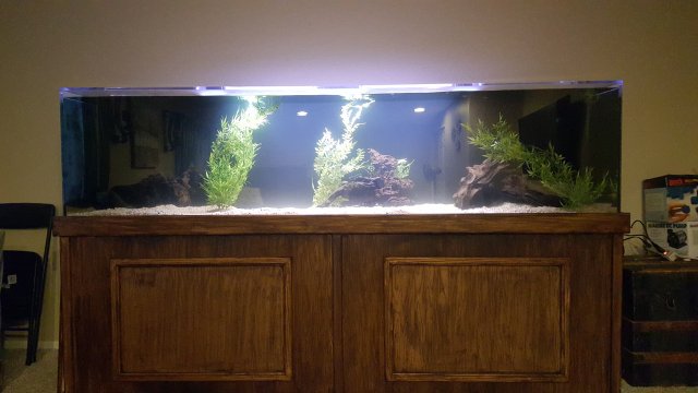 20151123_173339.jpg