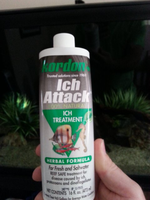 20151119_132843.jpg