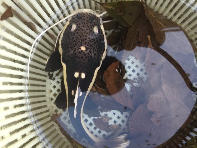 image1 (5).JPG image1 (5).JPG