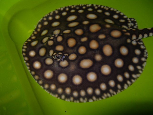 S1051142.JPG S1051142.JPG