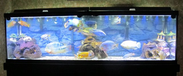 IMG_2776.jpg IMG_2776.jpg