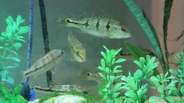 20151128_101800.jpg