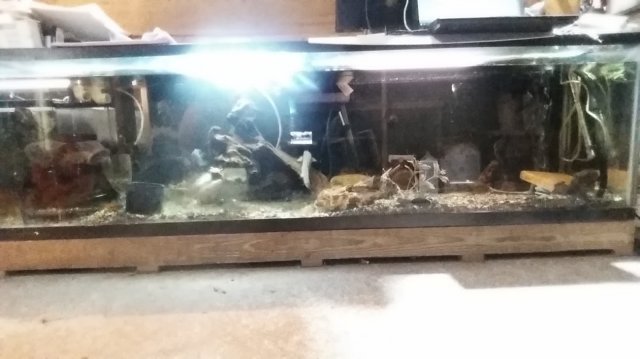 20151127_181919.jpg