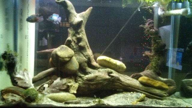 IMG_20151201_172355_573.jpg IMG_20151201_172355_573.jpg