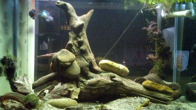 IMG_20151201_172400_793.jpg IMG_20151201_172400_793.jpg