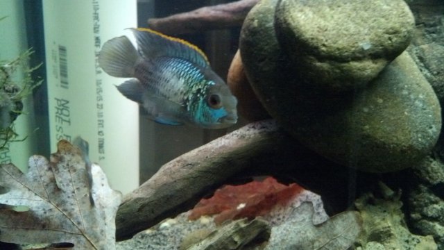 IMG_20151201_172425_119.jpg IMG_20151201_172425_119.jpg