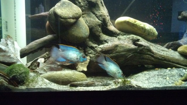 IMG_20151201_172521_317.jpg IMG_20151201_172521_317.jpg