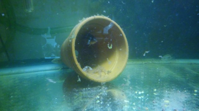 20151202_193929.jpg 20151202_193929.jpg