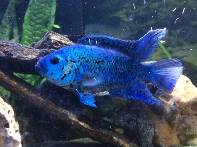 image.jpeg image.jpeg