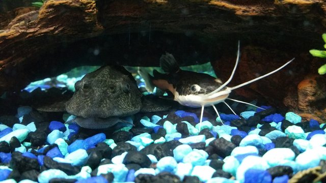 20151202_210111.jpg