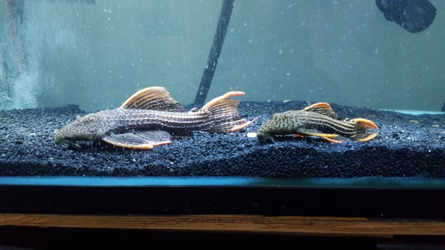 20151022_143027.jpg 20151022_143027.jpg