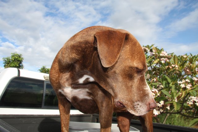 IMG_9884.JPG IMG_9884.JPG