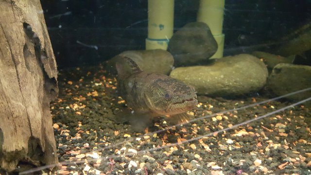 20151204_184217.jpg