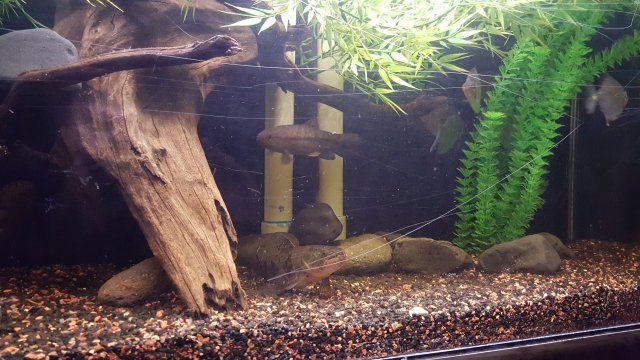 20151204_184303.jpg