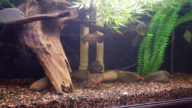 20151204_184305.jpg