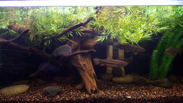 20151204_184447.jpg
