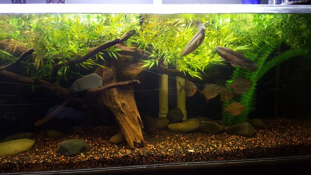 20151204_184509.jpg
