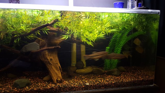 20151204_184517.jpg