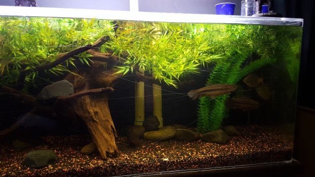 20151204_184518.jpg