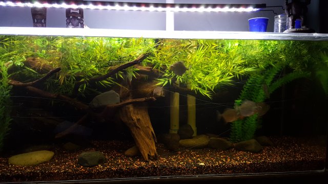 20151204_184709.jpg