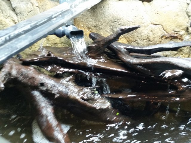 20151206_002852.jpg