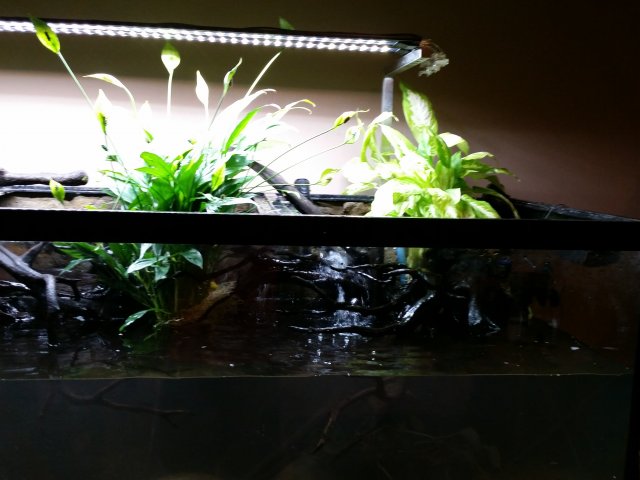 20151206_005802.jpg