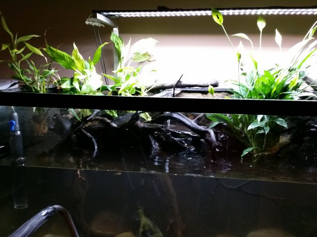 20151206_005759.jpg