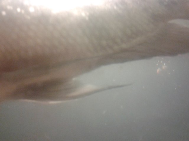20151207_194432.jpg