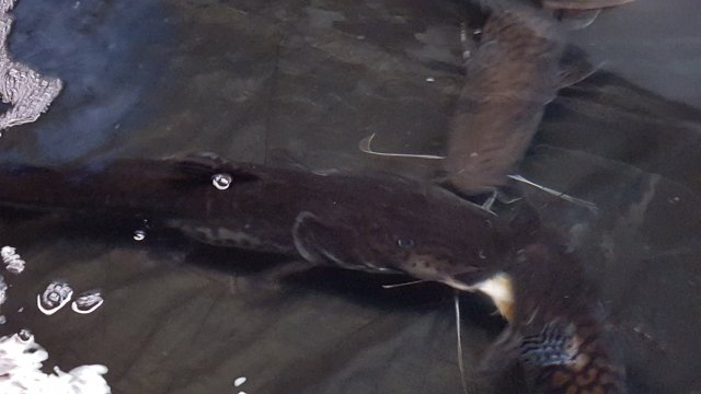 20151208_001615.jpg