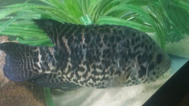 20151208_210406.jpg