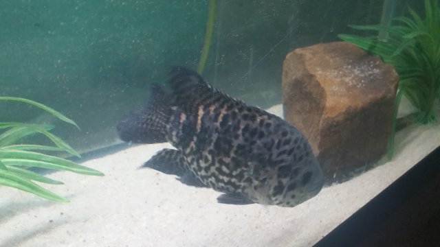 20151208_210355.jpg