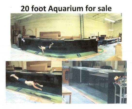 00404_l0JuKmQXGdK_600x450_tank_shaka.jpg 00404_l0JuKmQXGdK_600x450_tank_shaka.jpg