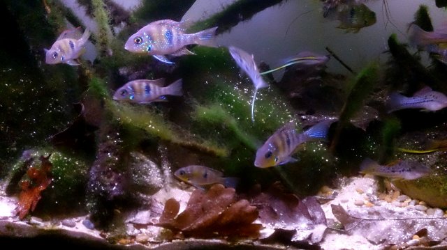 _20151214_200438.JPG